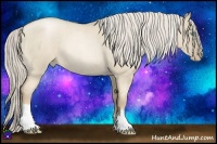 Horse Color:Chocolate Palomino Roan Pearl Dun