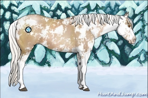 Horse Color:Silver Black Pearl Sabino