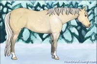 Horse Color:Silver Buckskin 