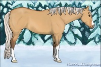 Horse Color:Silver Bay Dun
