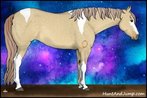 Horse Color:White Spotted Chocolate Palomino Dun Tobiano 