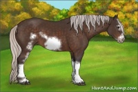 Horse Color:White Spotted Silver Bay Frame 