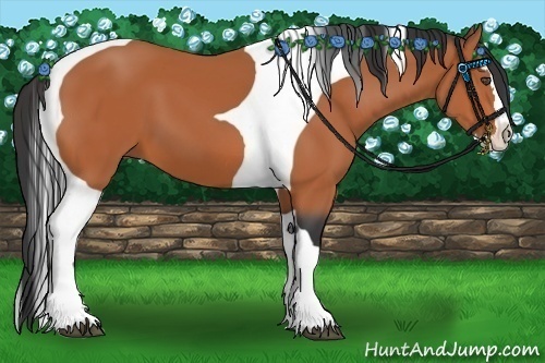 Horse Color:Bay Splash Tobiano