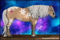 Horse Color:Silver Buckskin Ice 