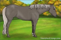 Horse Color:Silver Black 