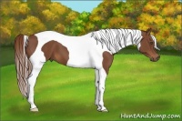 Horse Color:Chestnut Tobiano