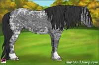 Horse Color:Black Ice 