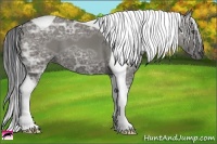 Horse Color:Grullo Ice Tobiano