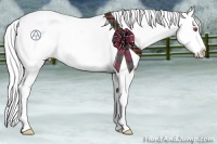 Horse Color:Silver Black Chinchilla Appaloosa