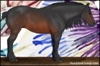Horse Color:Brown Rabicano 