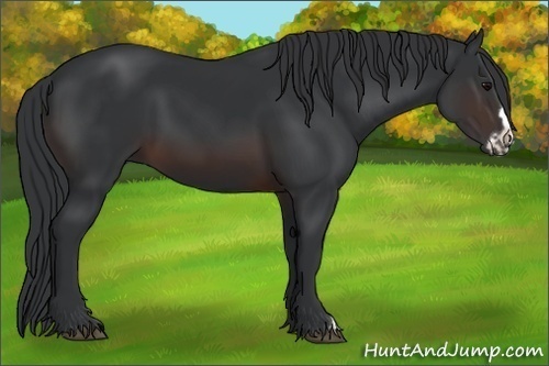 Horse Color:Brown Frame 