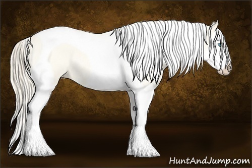 Horse Color:Perlino Roan Dun Splash Tobiano 