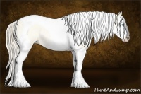 Horse Color:Perlino Roan Dun Splash Tobiano 