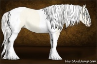 Horse Color:Cremello Dun Tobiano