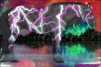 Horse Color:Black Brindle