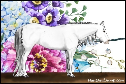 Horse Color:Black Ice Sabino Splash 