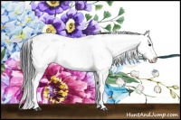 Horse Color:Black Ice Sabino Splash