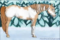 Horse Color:Gold Champagne Frame 