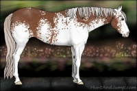 Horse Color:White Spotted Silver Bay 