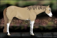 Horse Color:Liver Red Dun Sabino 