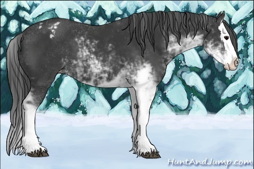 Horse Color:Black Sabino Splash Varnish