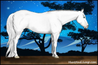 Horse Color:Gray White Spotted Smoky Black Pearl 