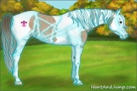 Horse Color:Thunderstruck Red Dun Roan Splash Tobiano