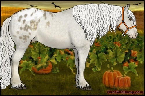 Horse Color:Chocolate Palomino Mushroom Sabino Blanket 
