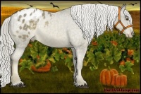Horse Color:Chocolate Palomino Mushroom Sabino Blanket
