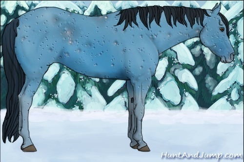 Horse Color:ERROR: UNKNOWN ANOMALY