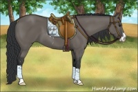 Horse Color:Grullo Sabino