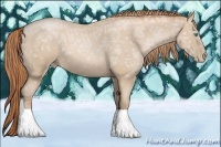 Horse Color:Smoky Black Ice Pearl 
