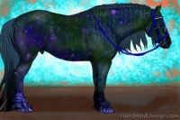 Horse Color:ERROR: UNKNOWN ANOMALY and ERROR: UNKNOWN ANOMALY