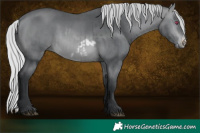 Horse Color:Silver Brown Chinchilla Frame and Silver Brown Chinchilla Frame