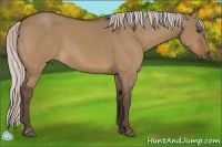 Horse Color:Silver Bay Dun Sabino