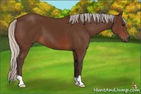 Horse Color:Silver Brown 