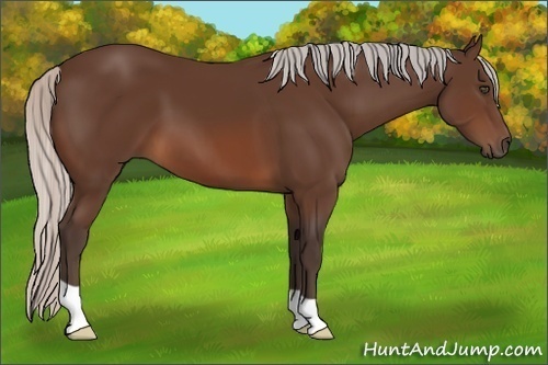 Horse Color:Silver Brown 