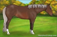 Horse Color:Silver Brown 