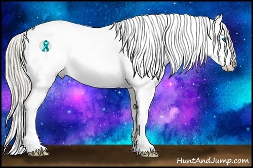 Horse Color:Silver Smoky Black Splash Appaloosa 