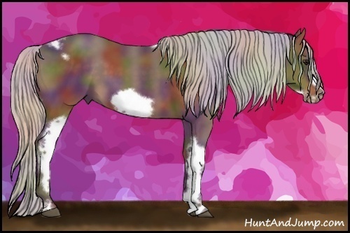 Horse Color:Nacre Silver Bay Tobiano Frame 