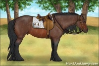 Horse Color:Bay Roan  Brindle