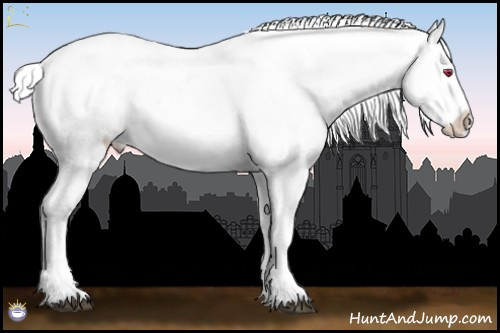 Horse Color:White Spotted Brown Chinchilla Roan Splash Appaloosa 