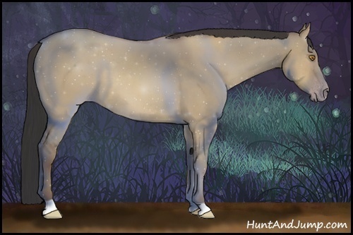 Horse Color:Sable Champagne Dun 