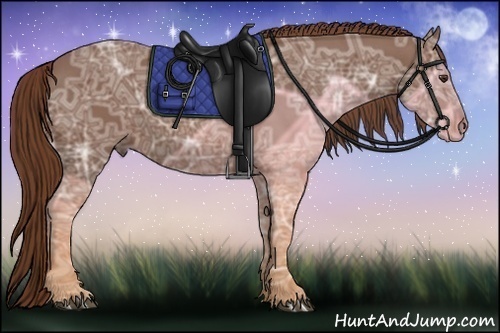 Horse Color:Chestnut Ice 