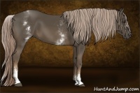 Horse Color:White Spotted Chocolate Palomino Sabino 