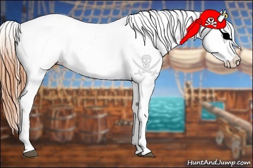 Horse Color:Buckskin Roan Appaloosa 