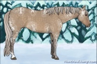 Horse Color:Silver Bay Ice Dun Tobiano