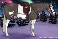 Horse Color:Silver Black Splash Frame 