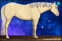 Horse Color:Gold Cream Champagne Dun