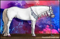 Horse Color:White Spotted Liver Chestnut Tobiano Frame